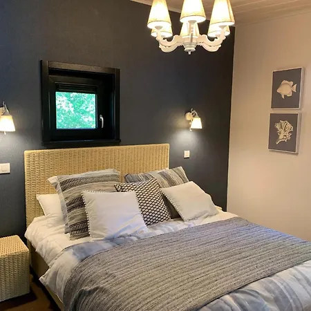 Elegant Mansion With Pools