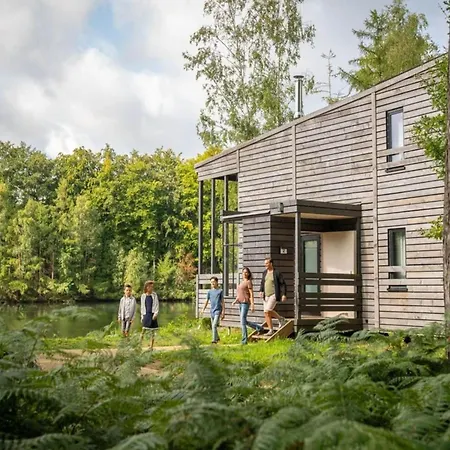 Elegant Mansion With Pools *