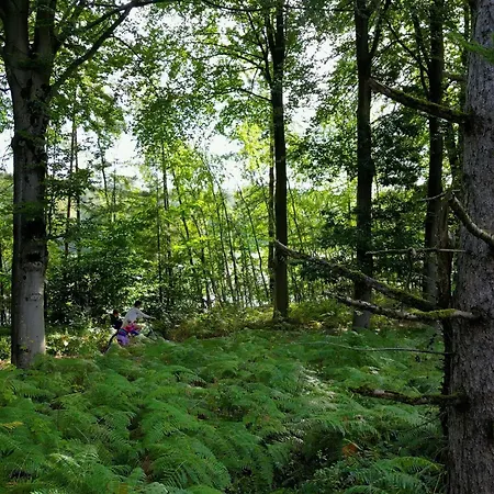 Casa vacanze Elegant Mansion With Pools Antoing