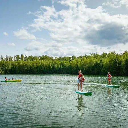 Elegant Mansion With Pools